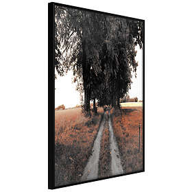 Artgeist Poster Affisch Road To The Forest Poster X A