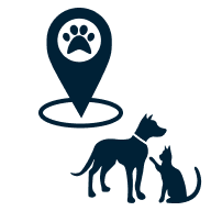 GPS-sändare till katt & hund