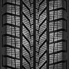 Dunlop Econodrive Winter 205/65 R 16 107T