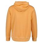 Gant Sunfaded Hoodie (Herr)