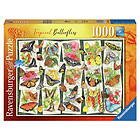 Ravensburger Pussel: Tropical Butterfly 1000 Bitar