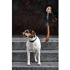 Seleverkstedet Link Dog Lead 25mm/150cm