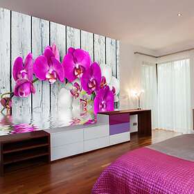 Arkiio Fototapet Violet Orchids With Water Re orchids with water reflexion 400x309 A3-4XLFTNT0539