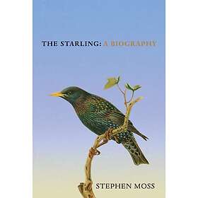 Starling