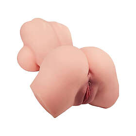 Armony Realistic Female Torso Model 10