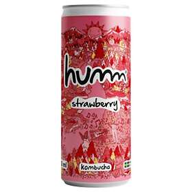Humm Kombucha Jordgubb Eko 330ml