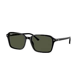 Ray-Ban Raimond RB2231