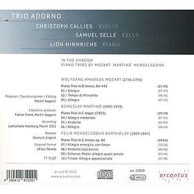 Trio Adorno In The Shadow CD