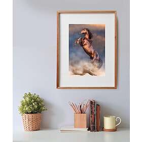 Clementoni Vill rød hingst 500 Brikker