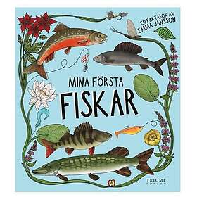 Mina första insekter