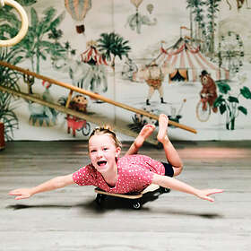 Small Foot Roller Board Adventure