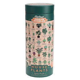 Ridleys House Plants 1000 Palaa