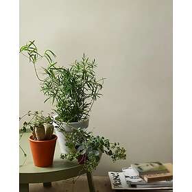 Jotun Lady Pure Color Väggfärg Light Grey 10342 750ml