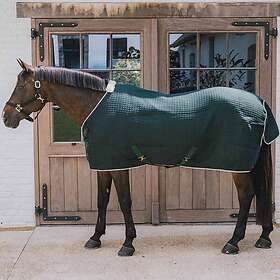 Kentucky ProTherm Rug