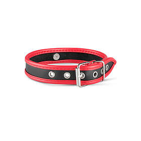 Whipped Connell Collar