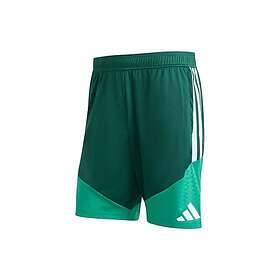 Adidas Algeria 26 Träningsshorts Regular (Herr)
