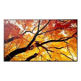 Sharp Multisync Pn-M752 74.5" Led 4K 24Hz