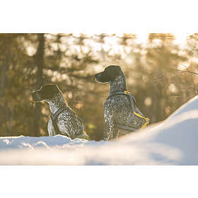 Seleverkstedet Nome Racing Dog Harness S