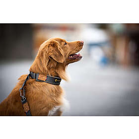 Seleverkstedet Unify Dog Collar S