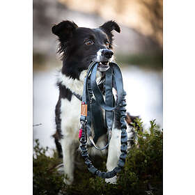 Seleverkstedet Rush Joring Line 8mm/160cm