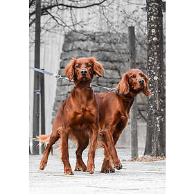 Seleverkstedet Twin Lead Splitter 50cm