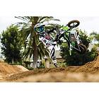 Razor SX350 McGrath 2x12V