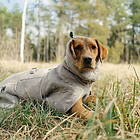 Non-Stop Dogwear Drying Badrock till Hund