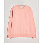 Classic Colorful Standard Organic Crew Neck Sweat (Herre)