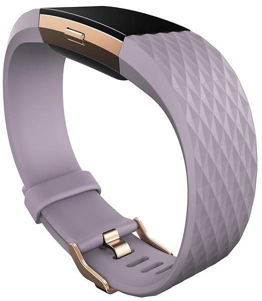 Best pris på Fitbit Charge 2 Special Edition Aktivitetsmåler fitbit charge 2 lader prisjakt
