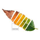 Pantone Leaf Dynebetræk 220 X 220 Cm