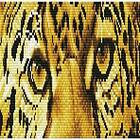 Diamond Dotz 42 x 15 cm Leopard Spy