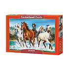 Castorland Call of Nature CSC200702 200702 000