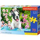 Castorland Puzzle 70 French Bulldog Puppy CASTOR B-070152