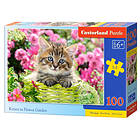 Castorland 100 Puzzle in garden B-111039 111039