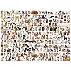 Eurographics Puzzle 1000 The world of dogs EG60000581