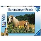 Ravensburger Puzzle XXL 200 8 År 12628