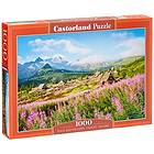 Castorland Hala 1000 CSC104512 104512