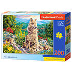 Castorland Puzzle 200 New Generation CASTOR B-222087
