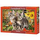 Castorland Kitten Buddies 1500 CSC151899