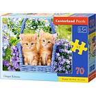 Castorland Puzzle 70 CASTOR B-070169