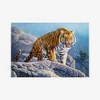 Castorland Tiger on the Rocks 500 53346 B-53346