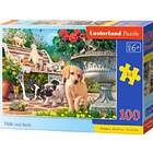 Castorland Puzzle 100 Hide and seek CASTOR B-111220