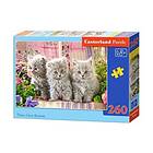 Castorland Puzzle 260 Three CSB27491 27491