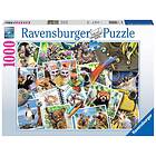 Ravensburger Animal Journal 1000P 000