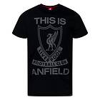 Liverpool FC T-Shirt Svart/Grå adult A15076
