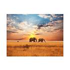 Arkiio Fototapet Afrikanska Savannen Elefanter 200x154