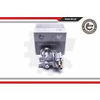 Esen SKV Vakuumpump, bromssystem 18SKV037