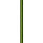 Beal Wall School 10,2mm Rope Grönt 200 m