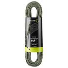 Edelrid Swift Protect Pro Dry 8,9 Mm Rope Brun 200 m