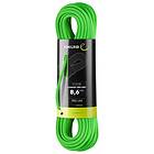 Edelrid Canary Pro Dry 8,6 Mm Rope Grönt 30 m